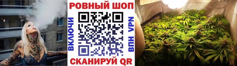 НБОМе Воронеж