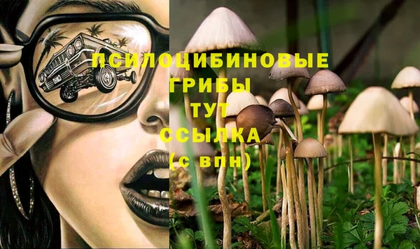 гашик Абдулино