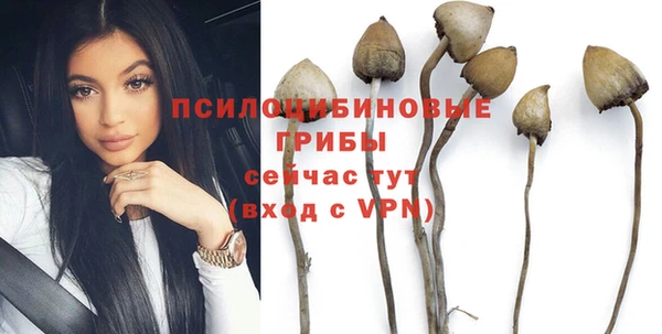 тгк Абинск