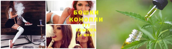 соль ск Абаза