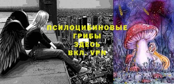 тгк Абинск